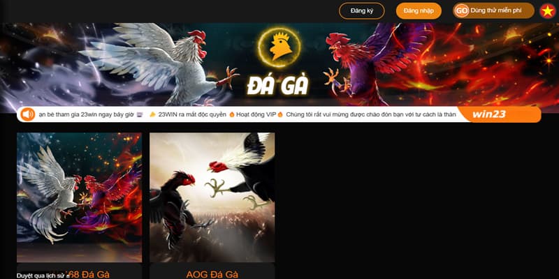 Đá gà 23Win - Nơi quy tụ những chiến kê có vảy quý cực đỉnh